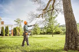 Best Tree Disease Treatment  in Desert Edge, CA